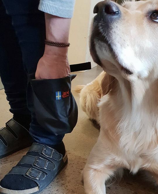 Hovedbilde Kryplomme