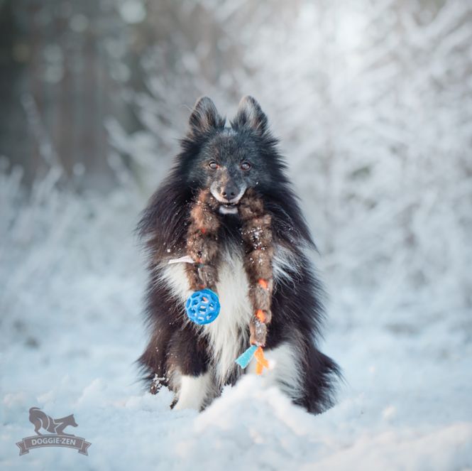 Hovedbilde Fleece og beverflette med hol-ee roller str mini ...
