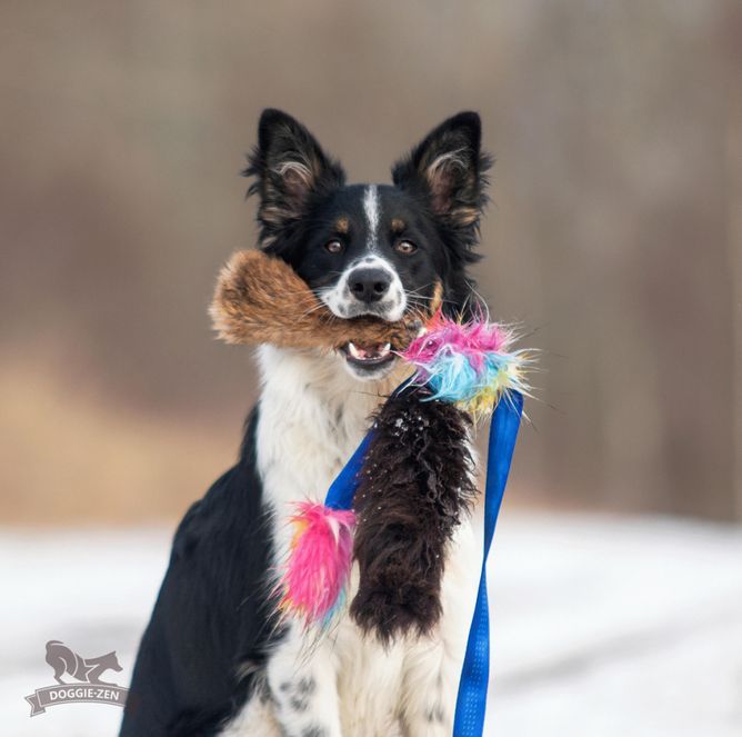 Hovedbilde Blekksprutpipjagare kanin + saueskinn