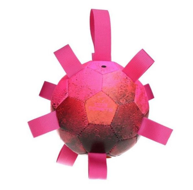 Hovedbilde Dog Comets Hypernova pink