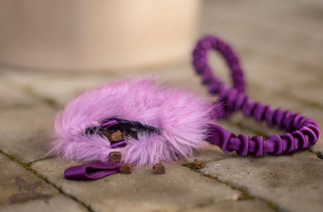 Hovedbilde Elastisk belønningsjagerkampis med knitrelyd i ...