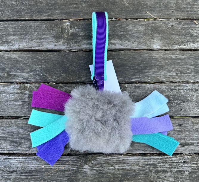 Hovedbilde Sirius Cute Spider