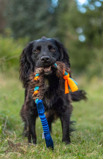 Hovedbilde Elastisk fleece og beverflette