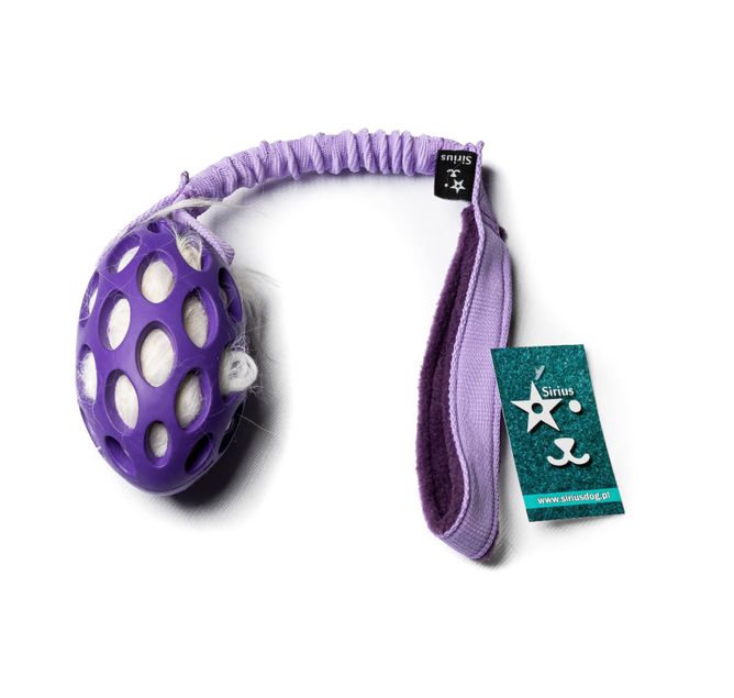 Hovedbilde Sirius Drageegg str M 