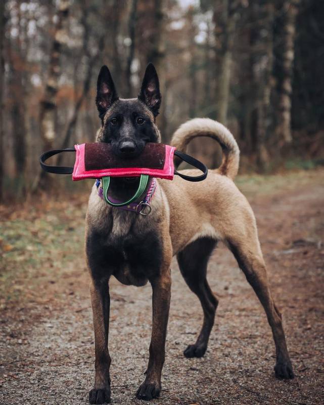 Bitepute med lær 28 x 15 cm